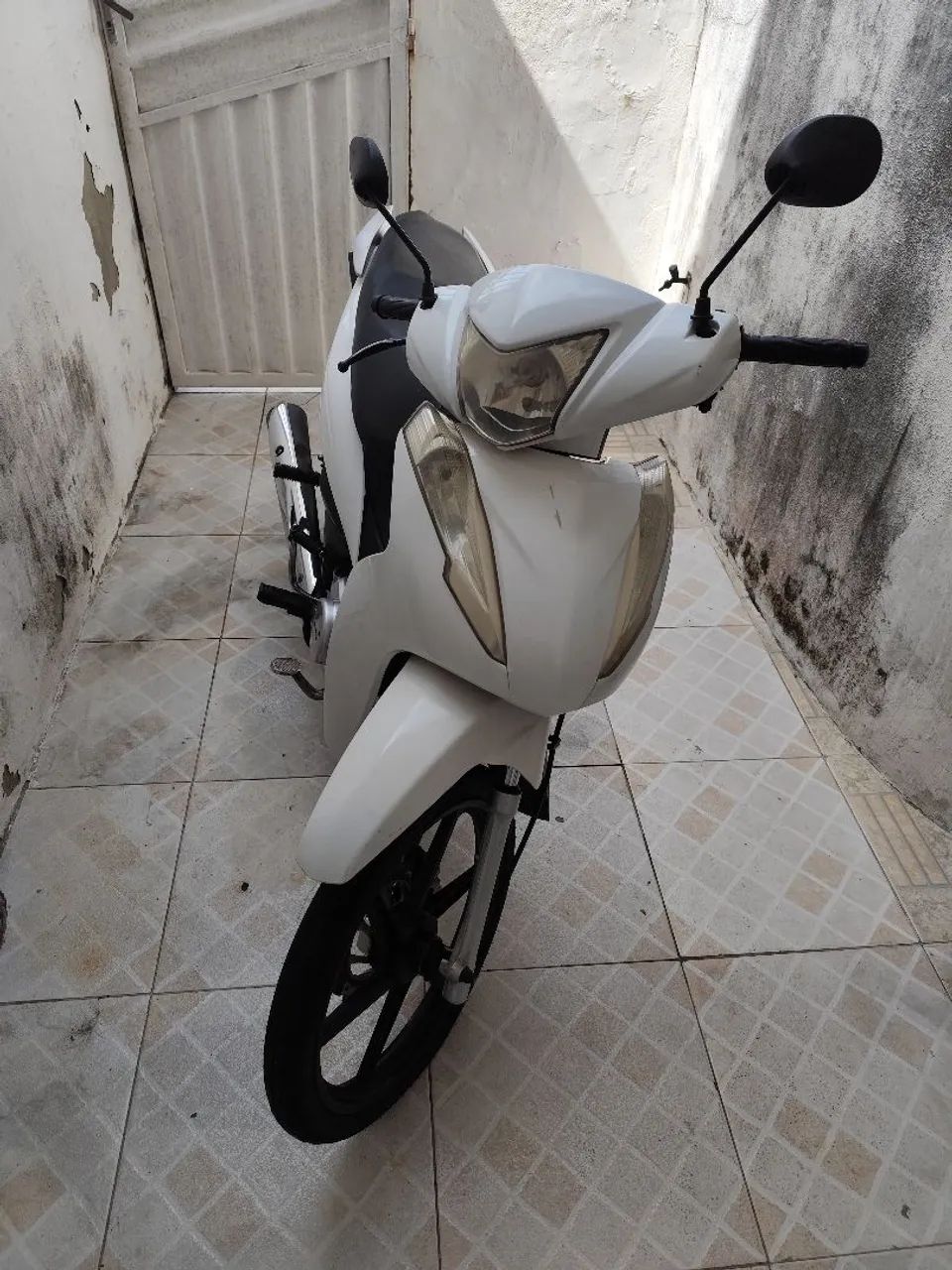 Aveloz 2022  - Foto 3