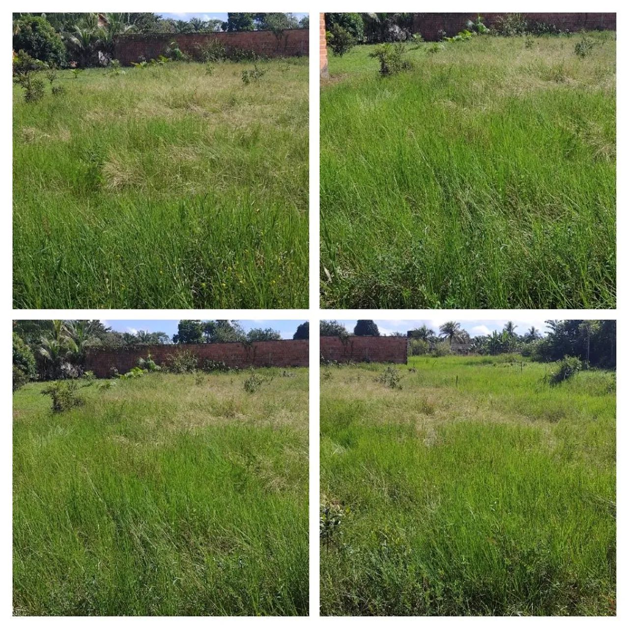 Vende -se terreno 10x30