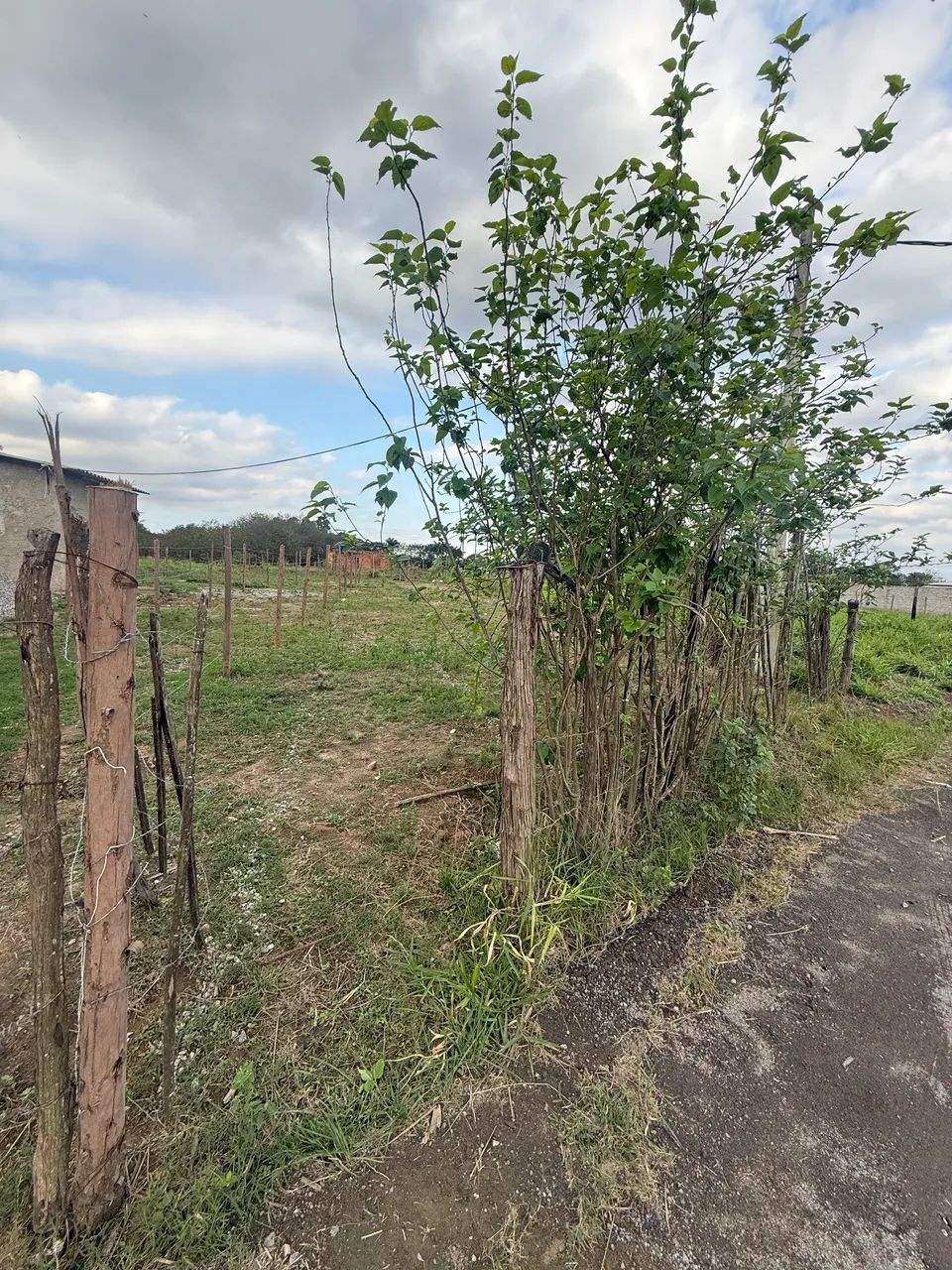 OPORTUNIDADE - Terreno com água e energia elétrica  - Foto 3