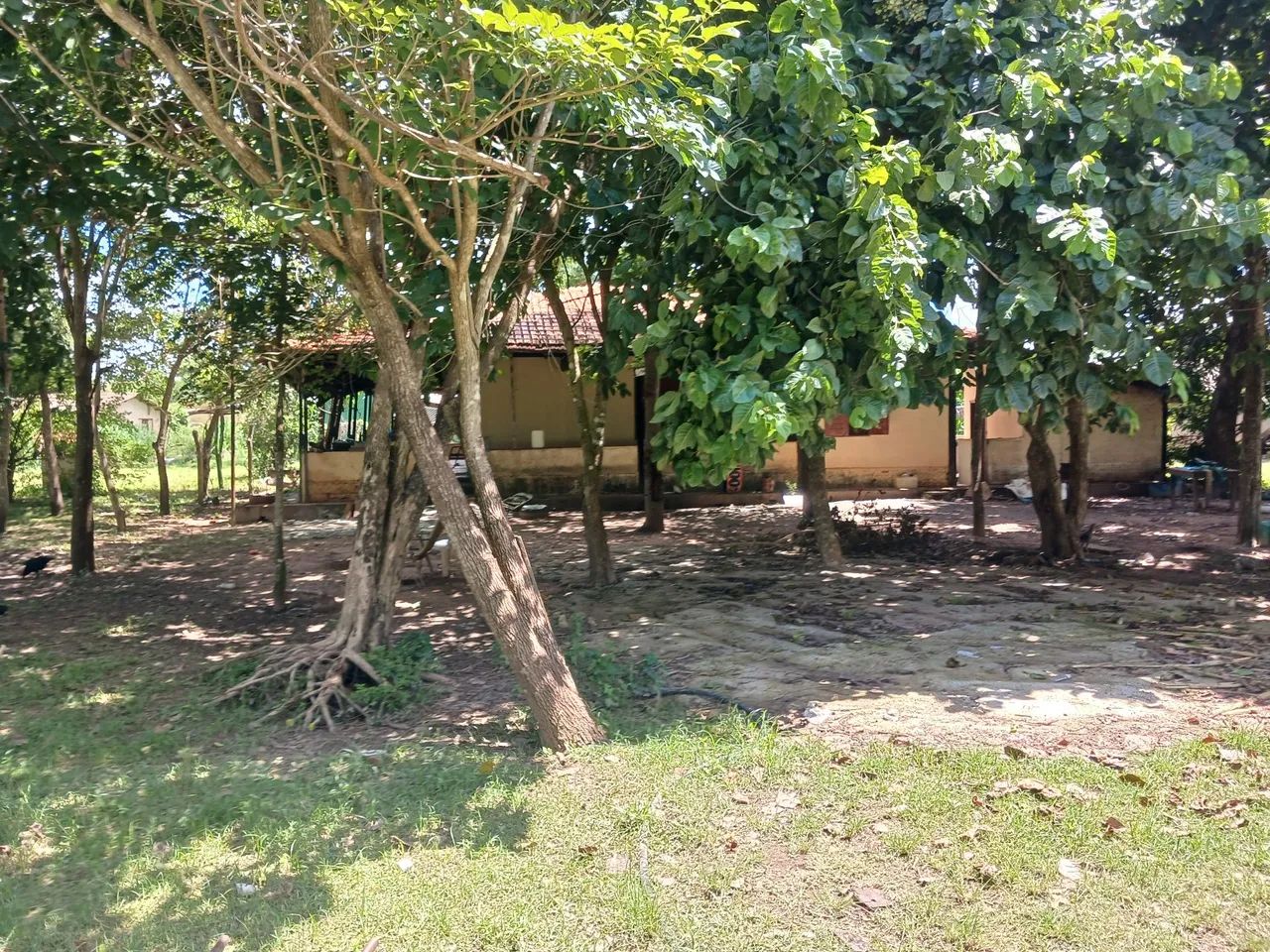 Fazenda - Foto 5