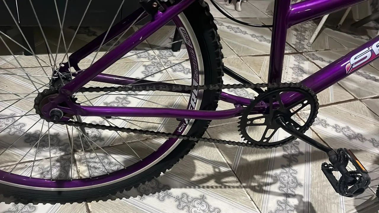 Bicicleta flowers samy  - Foto 4