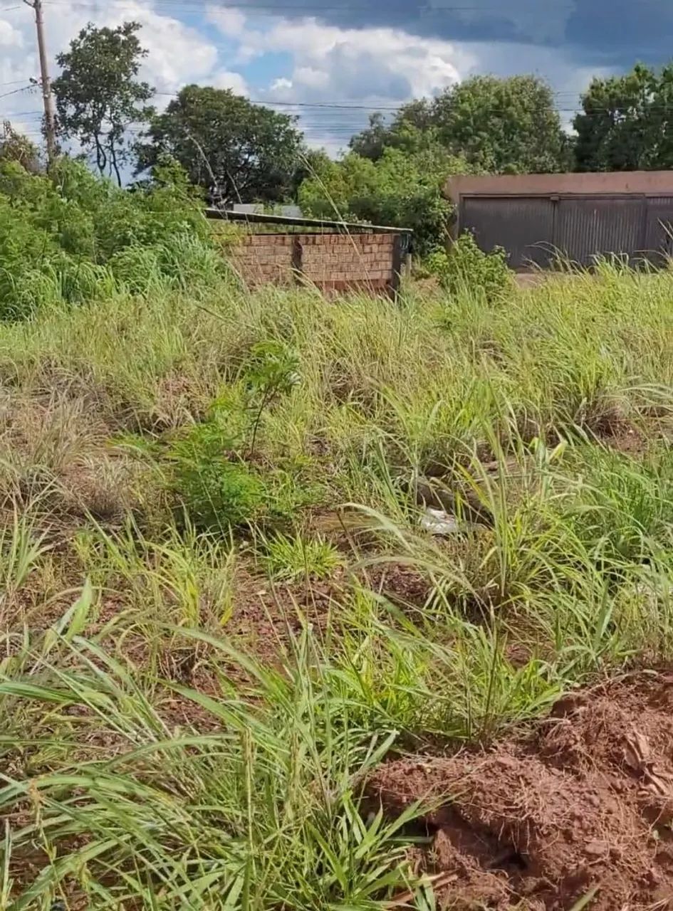 Vendo lote Novo Gama - Foto 2