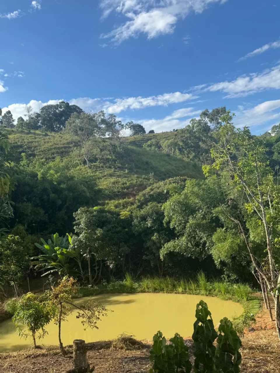 Vendo Lindo sítio/chácara na cidade de Carmópolis de Minas - Foto 5