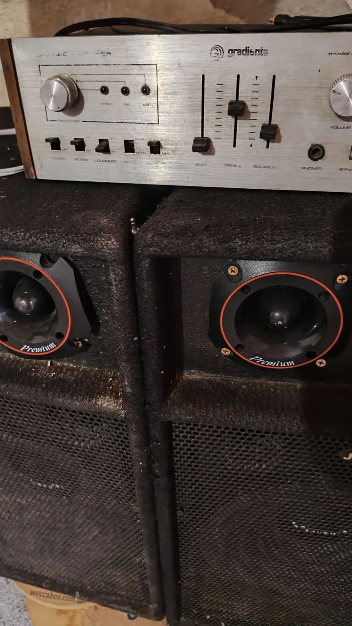 Vendo duas caixas fone de 15 polegadas bem conservado