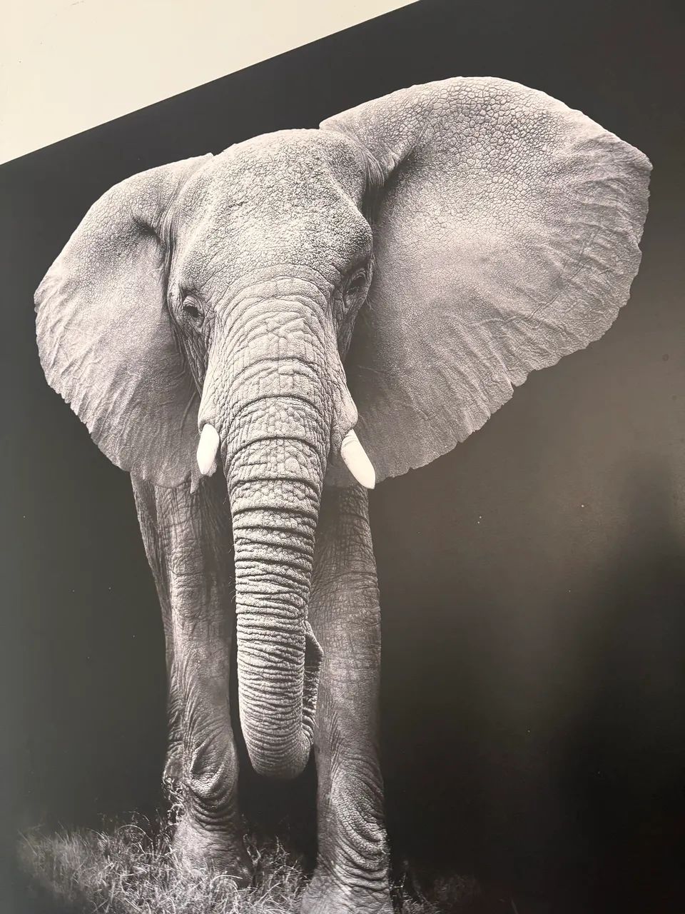 Quadro - Foto 2