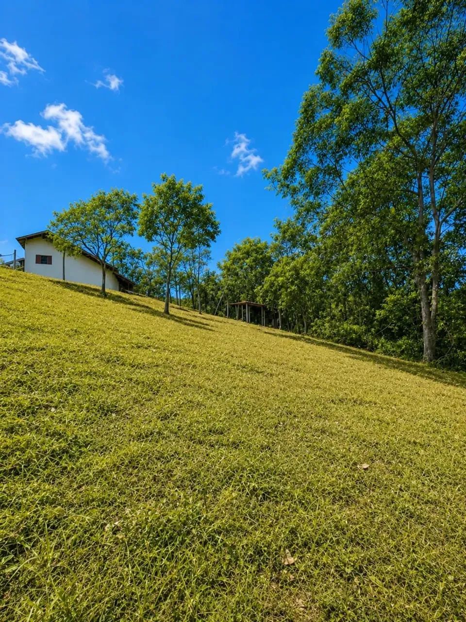 vendo terrenos de 1000m no interior de Sp - Foto 4