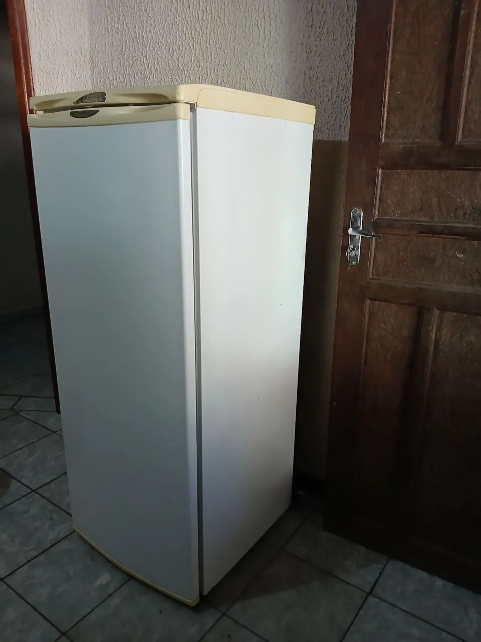 Geladeira Electrolux R250