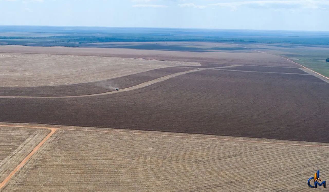 Fazenda REGIAO DE CAMPO NOVO - Foto 5