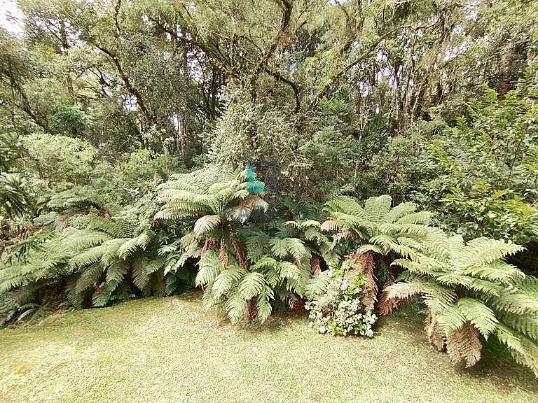 POUSADA FUNCIONANDO Á VENDA EM MONTE VERDE-MG - Foto 3