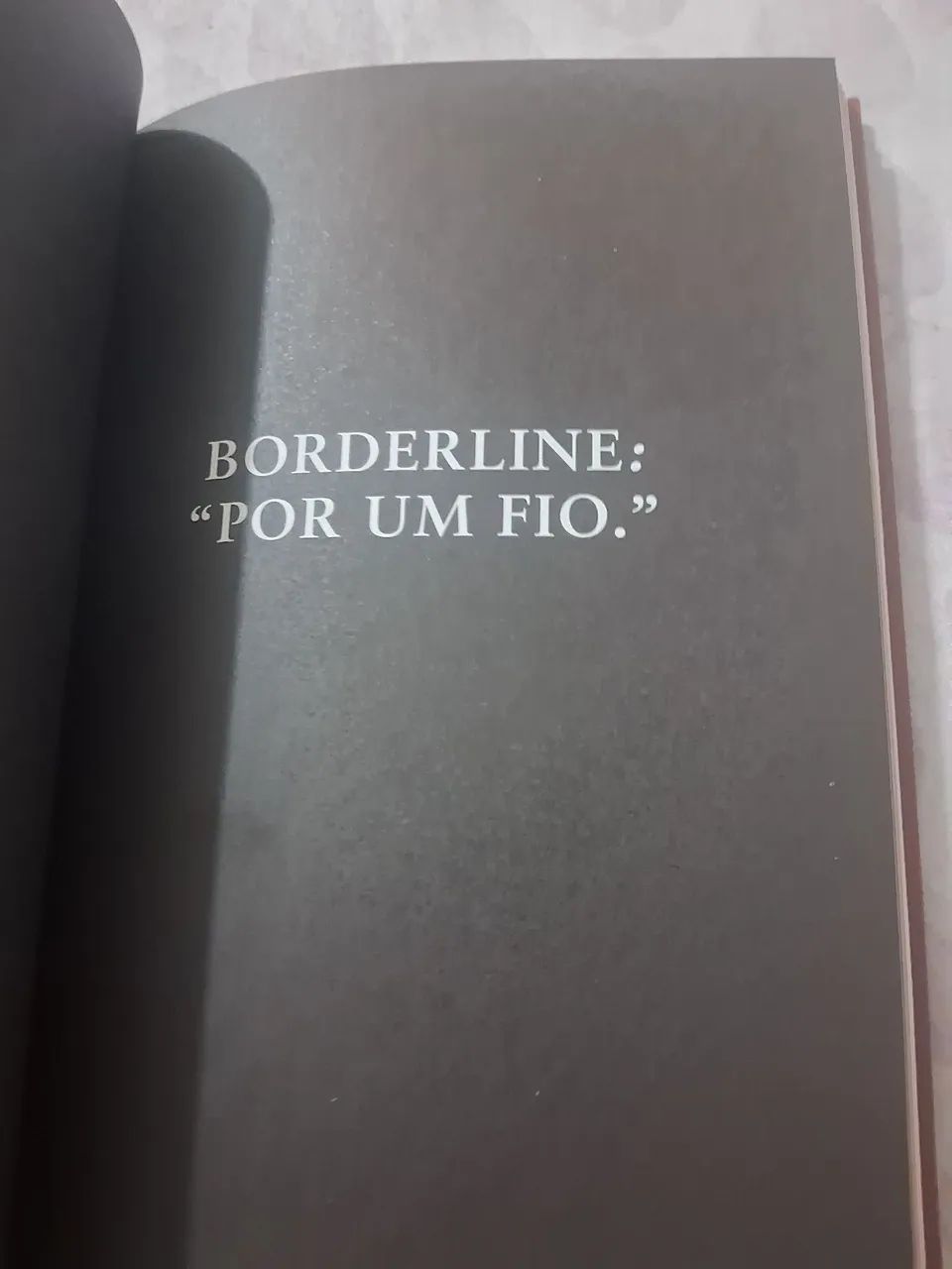 Livro - Psicopatas do Cotidiano  - Foto 2