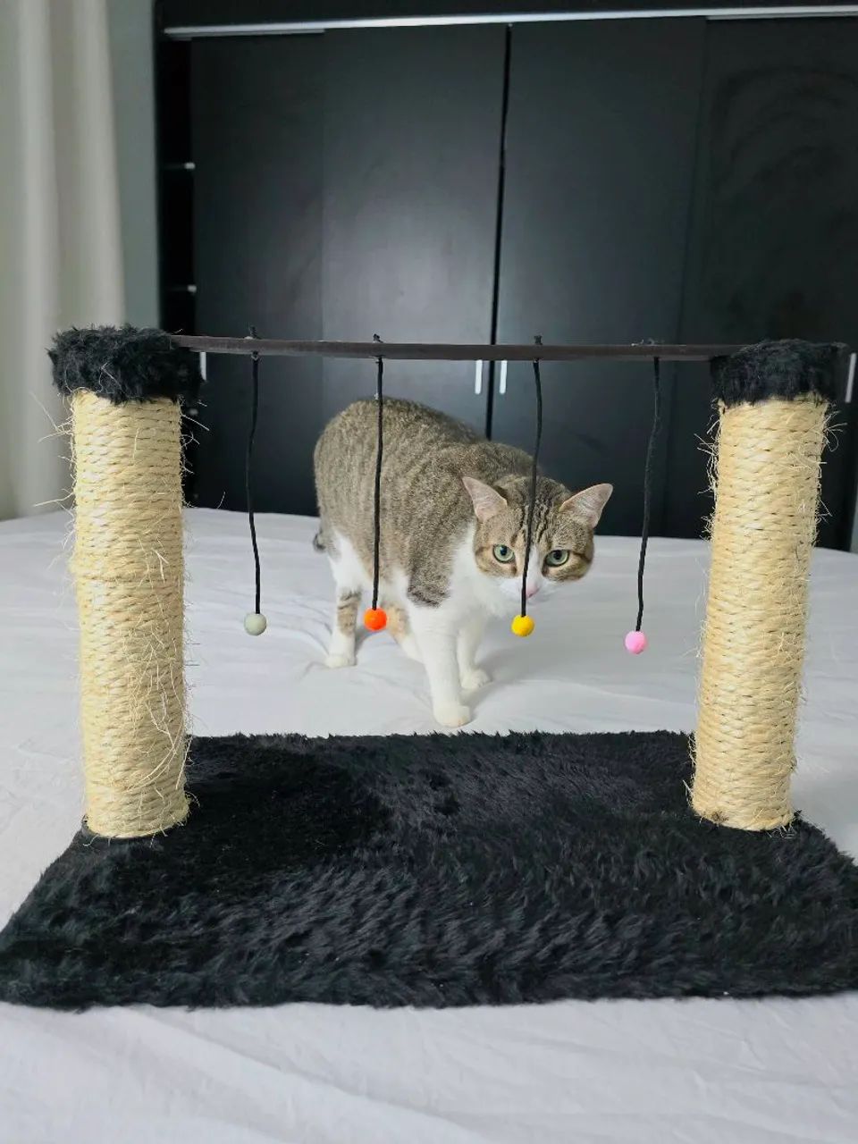 Arranhador para gatos  - Foto 2