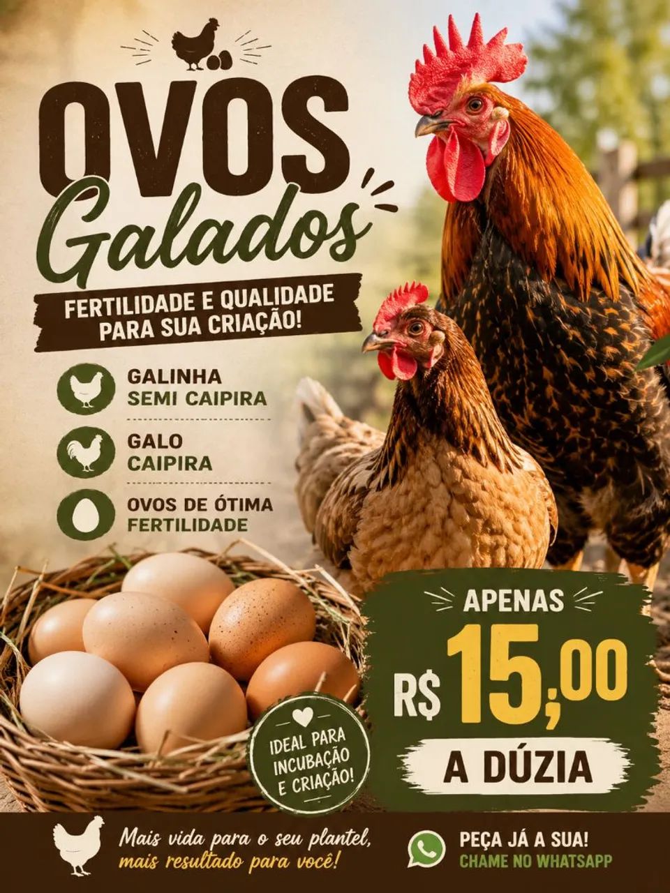 Ovos galados  - Foto 3
