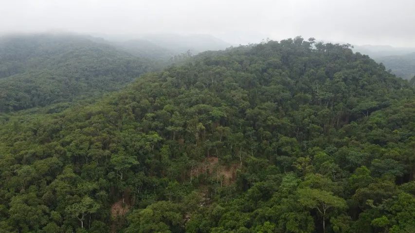 Foto - Blumenau - Água Verde