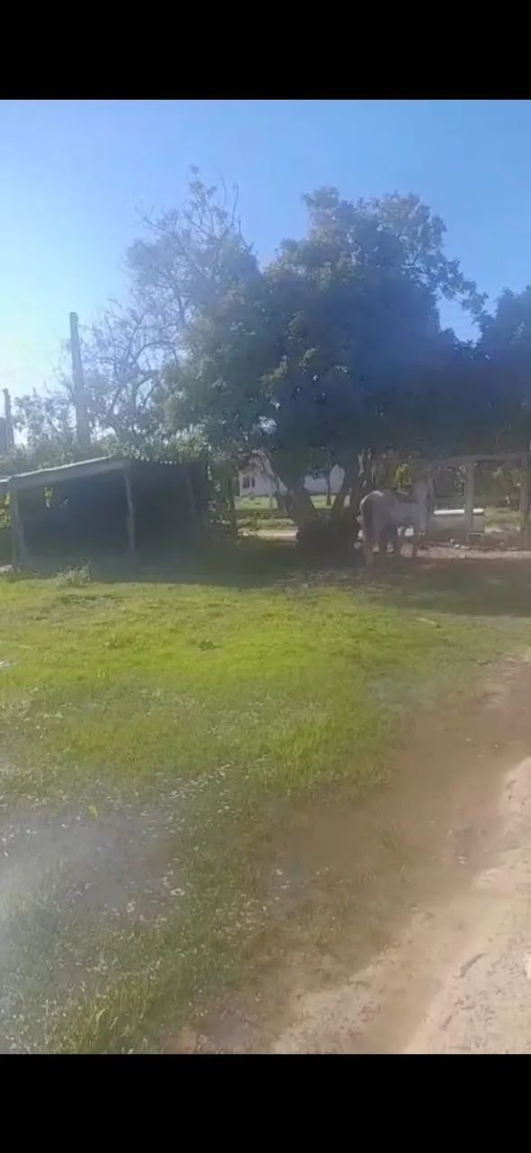 Terreno 