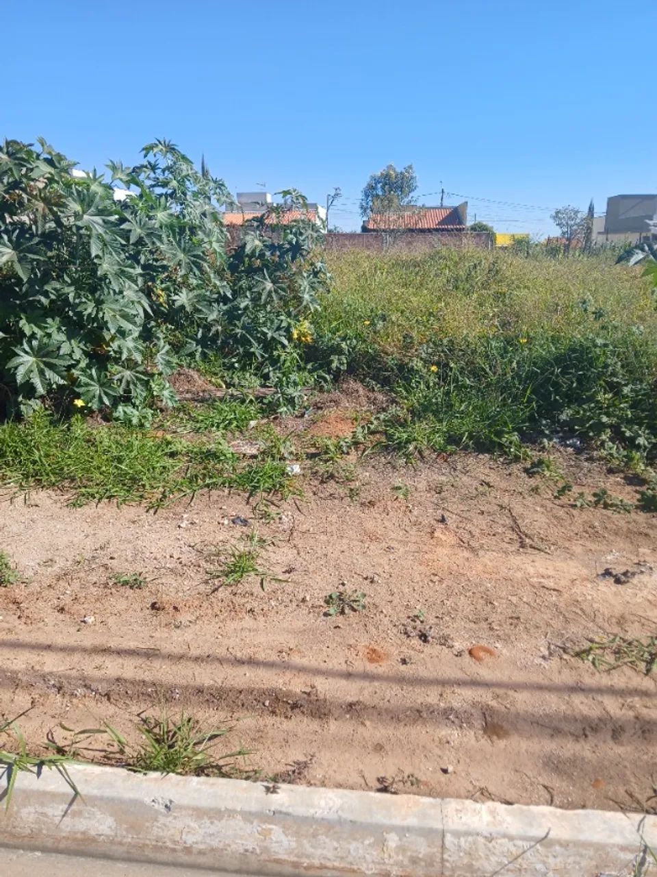 Terreno Jd. Horizonte  - Foto 5
