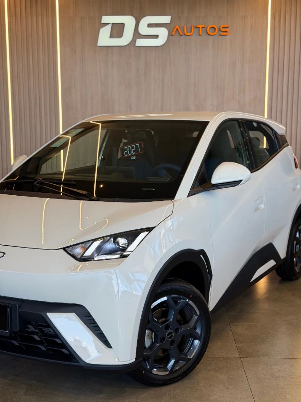 BYD Dolphin Mini (Elétrico) 2027 - Foto 2