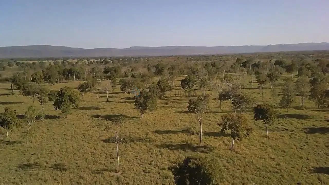 SITIO A 66 KM DE CACERES 87 Hectare - Foto 5