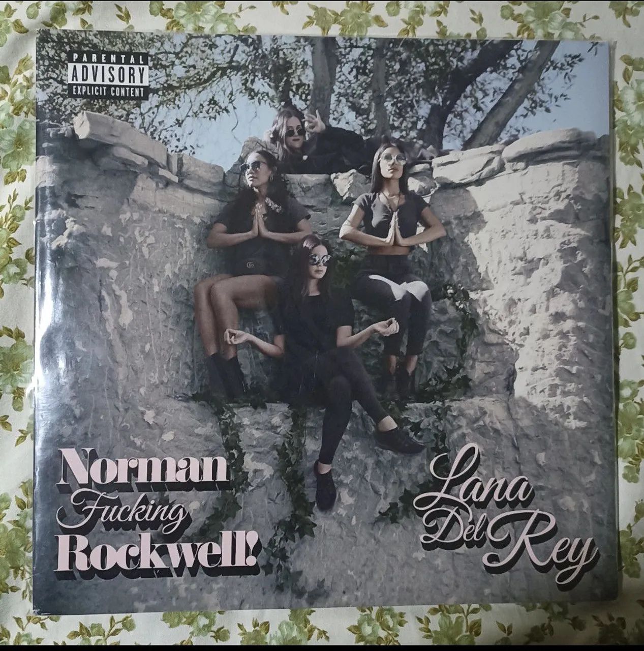 LP Vinil Lana Del Rey Norman Rockwell Rosa Urban Outfitters 