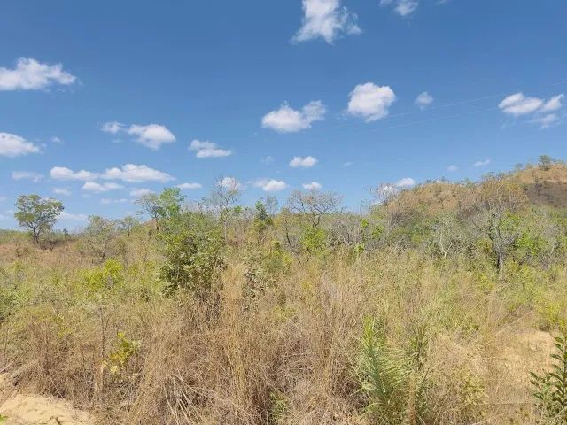 Vendo chácara 50 hectares  - Foto 2