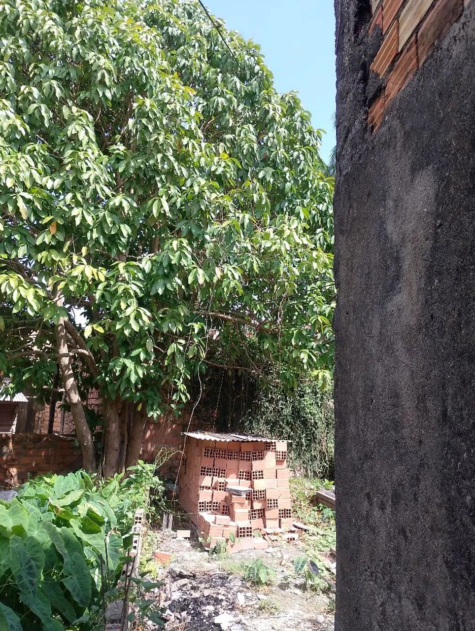 Casa no Guamá 