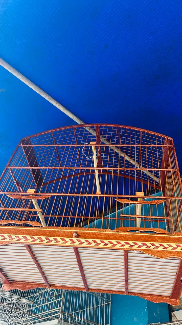 Gaiola nova  - Foto 3
