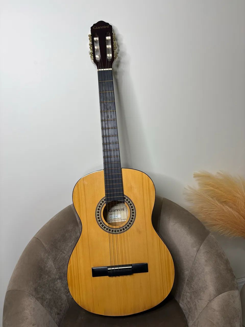 Violão Giannini 