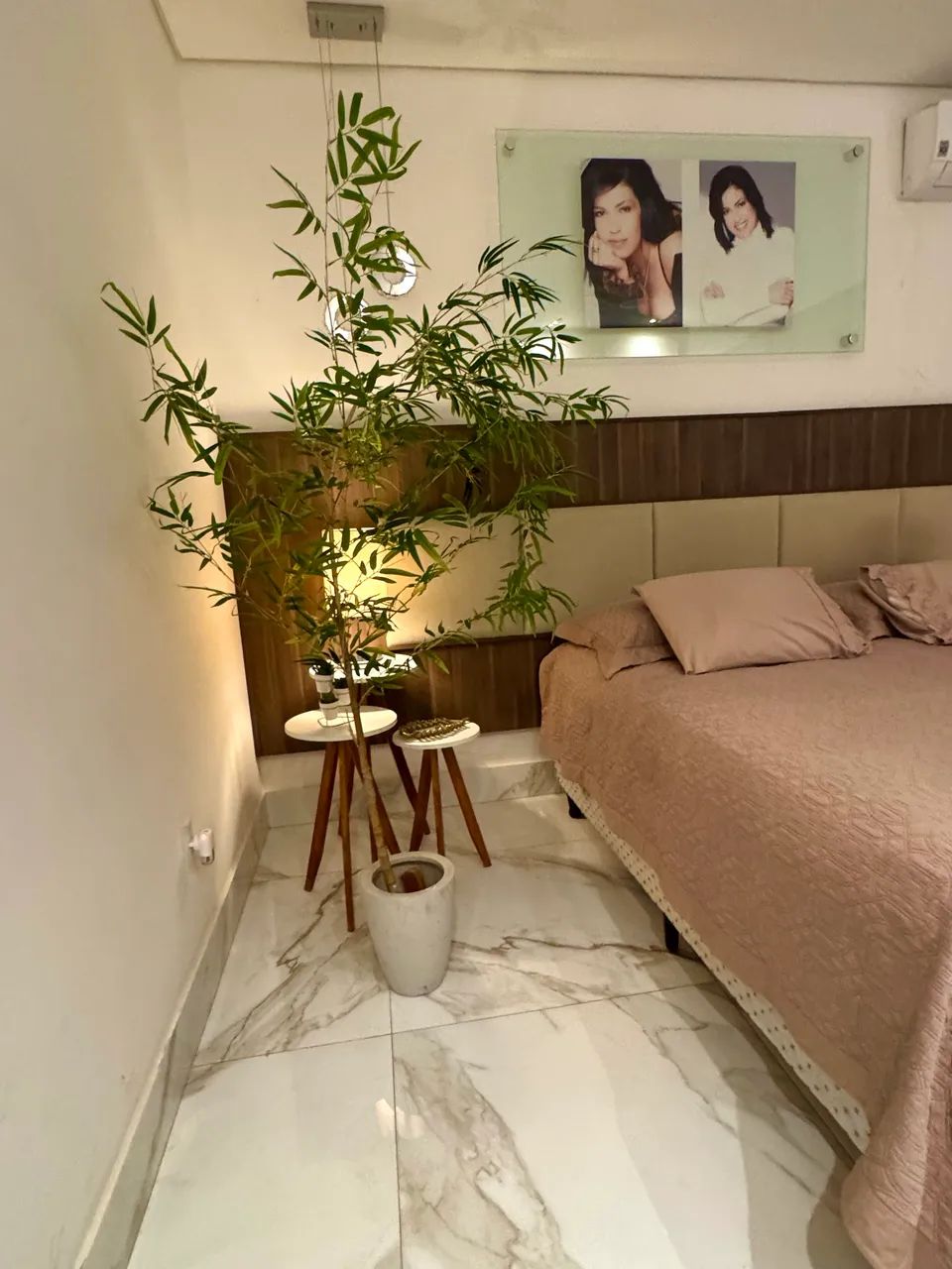 Bambu Mossô  - Foto 2