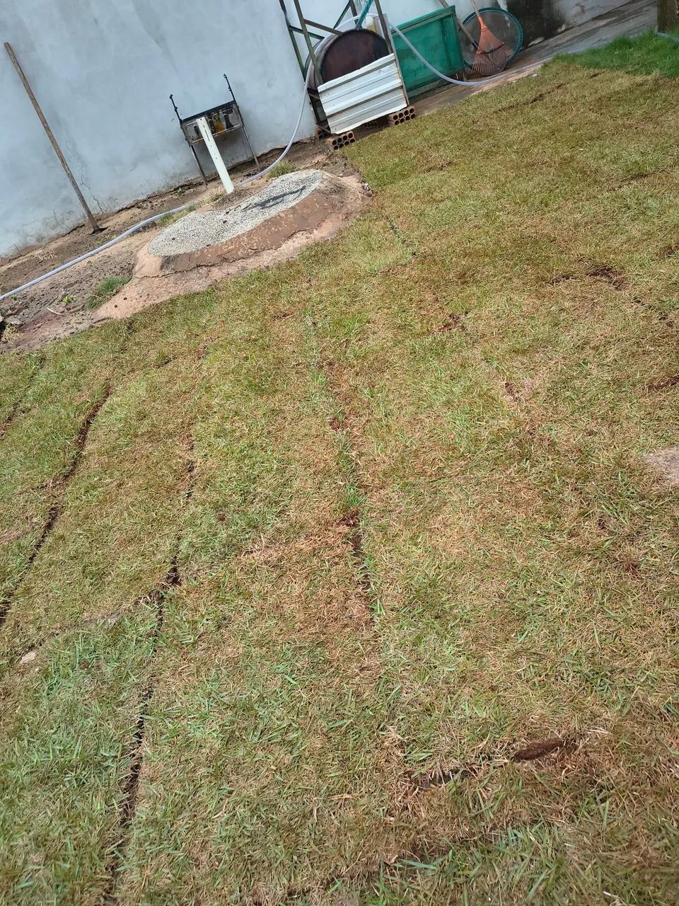 Manutenção de jardins e áreas externas  - Foto 3