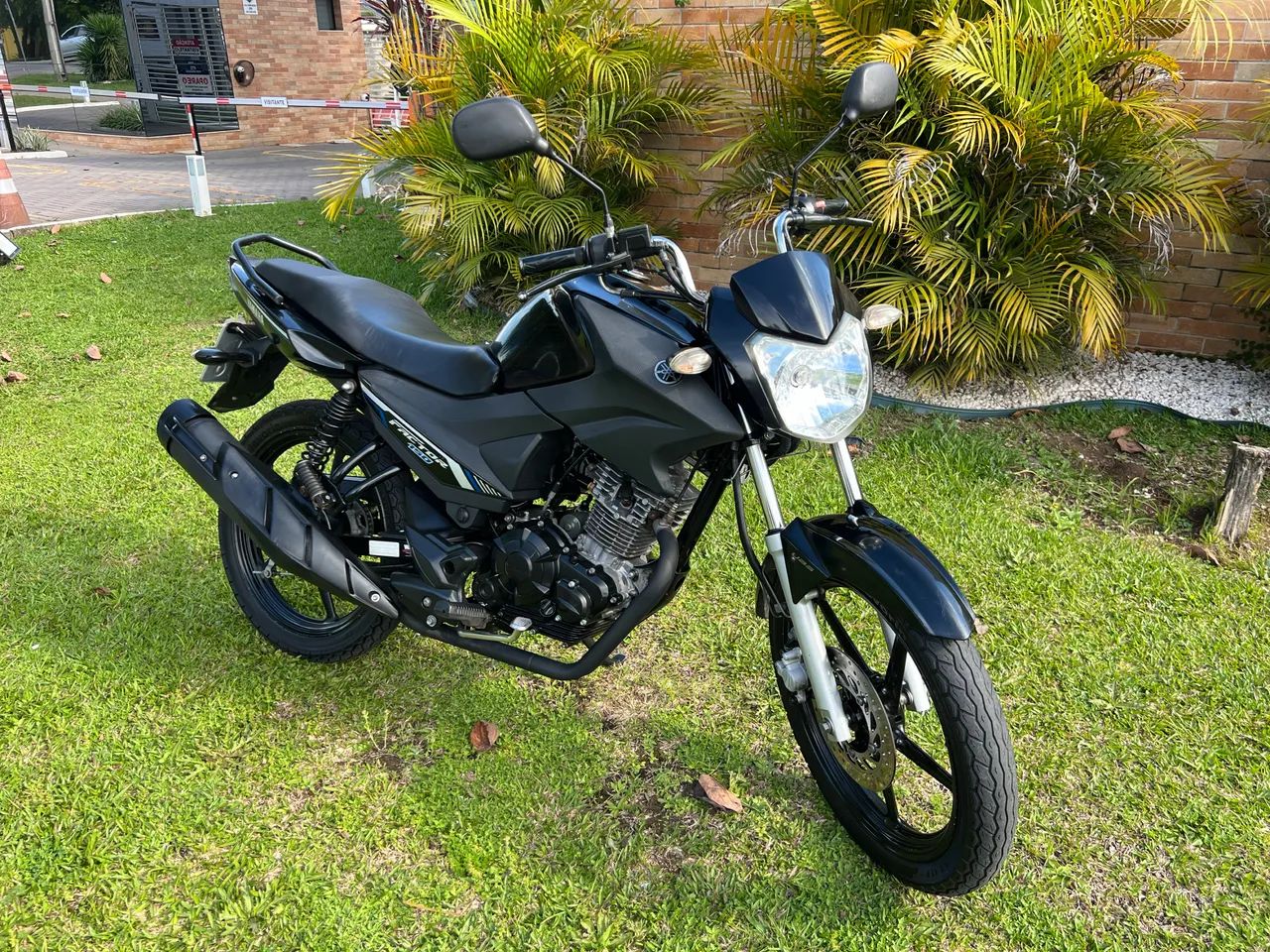 Yamaha Factor 150 ED Flex 2022