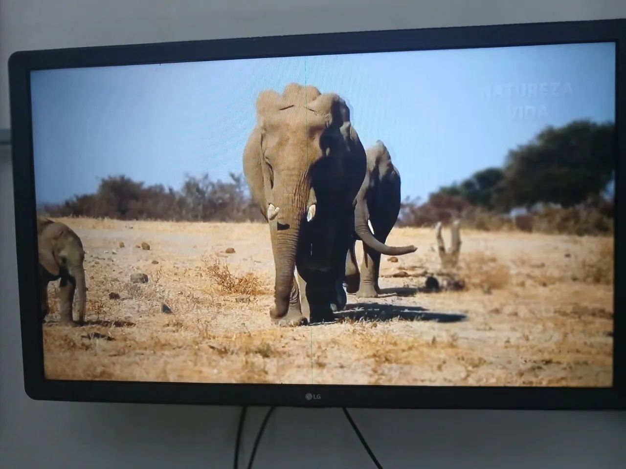 Tv lx