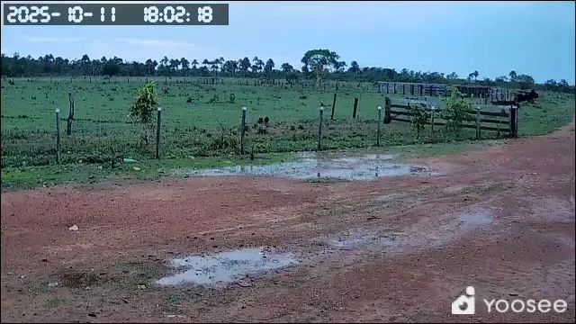 Fazenda a venda 