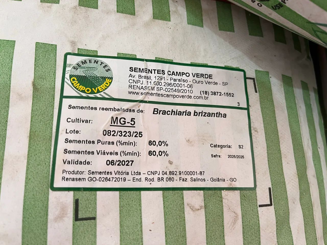 Semente de Pastagem 