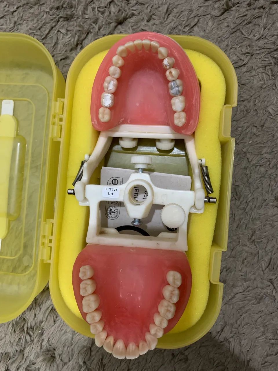 Manequim odontológico dentistica da Pronew - Foto 4
