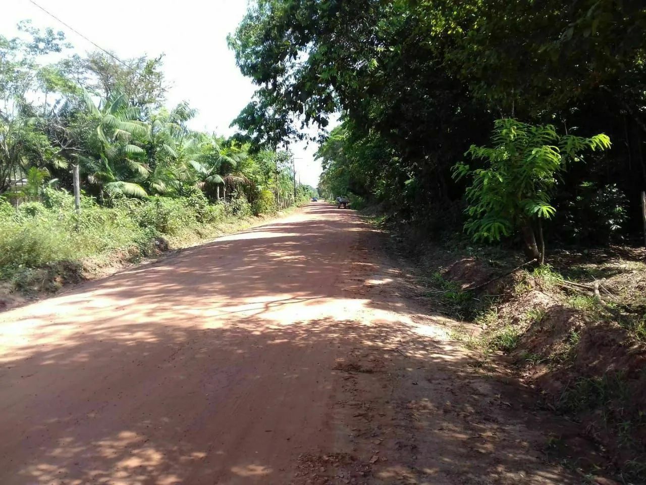 Lotes em Cotijuba  - Foto 2