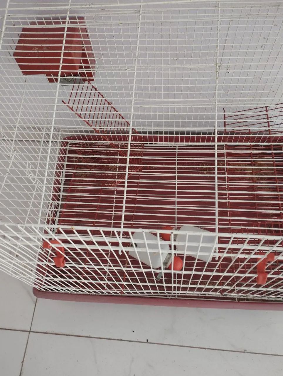 Vendo gaiola grande  - Foto 4