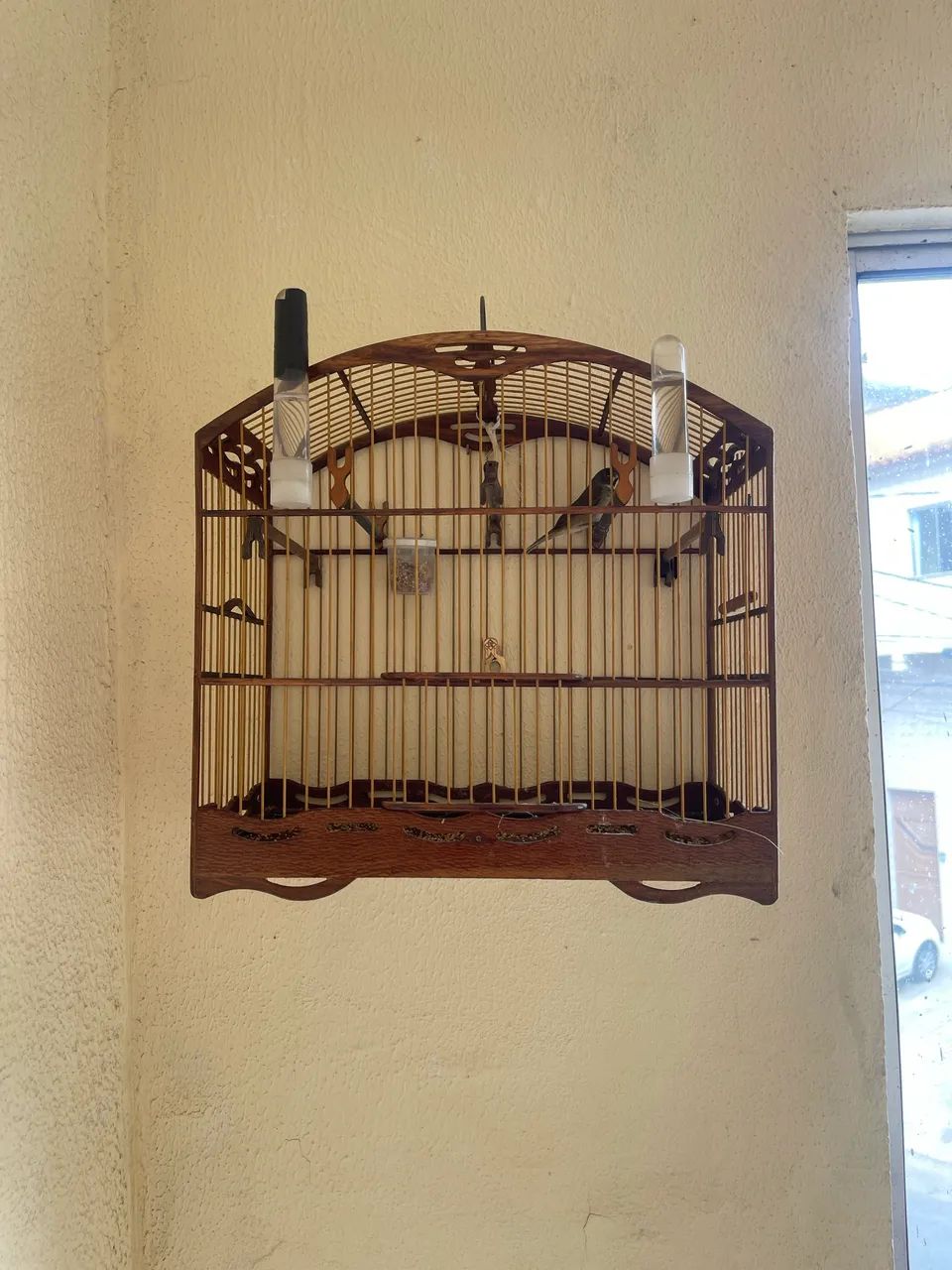Gaiola