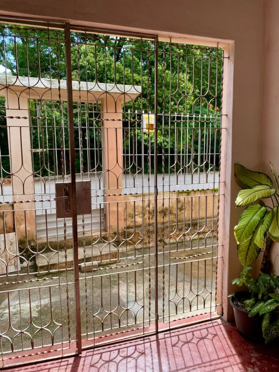 Casa 2 quartos com quintal em Palmeira dos Índios / 15 minutos do centro - Foto 4