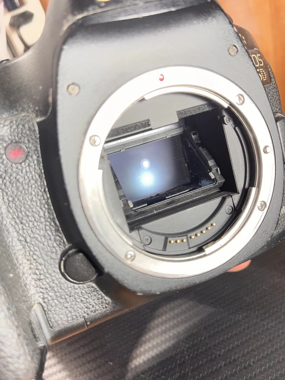 5d markiii - Foto 4