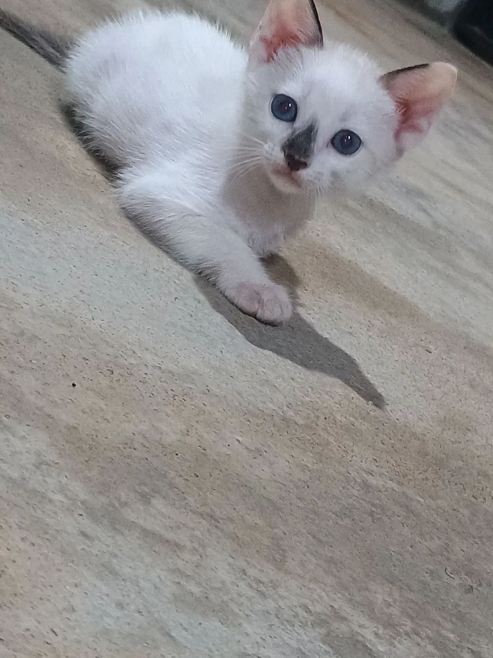 Doando esse princesinha ?