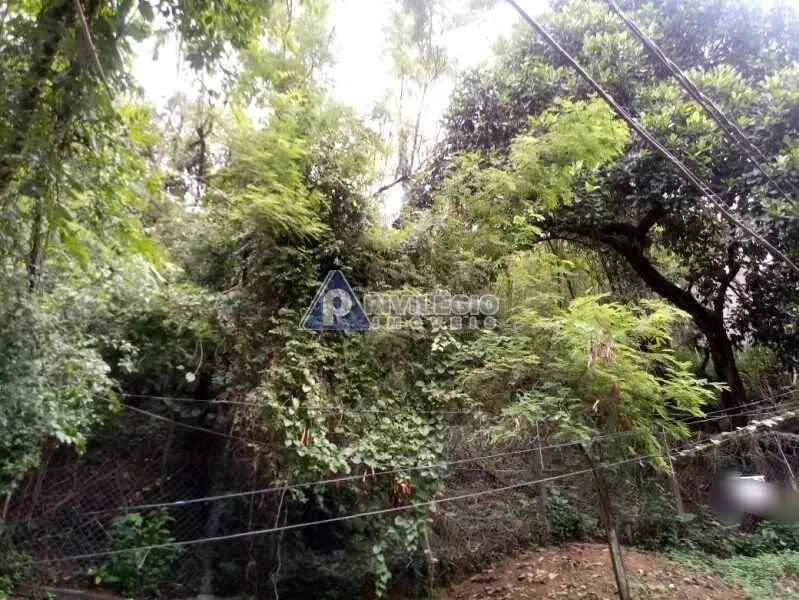 Terreno no Humaita/Lagoa - Foto 3