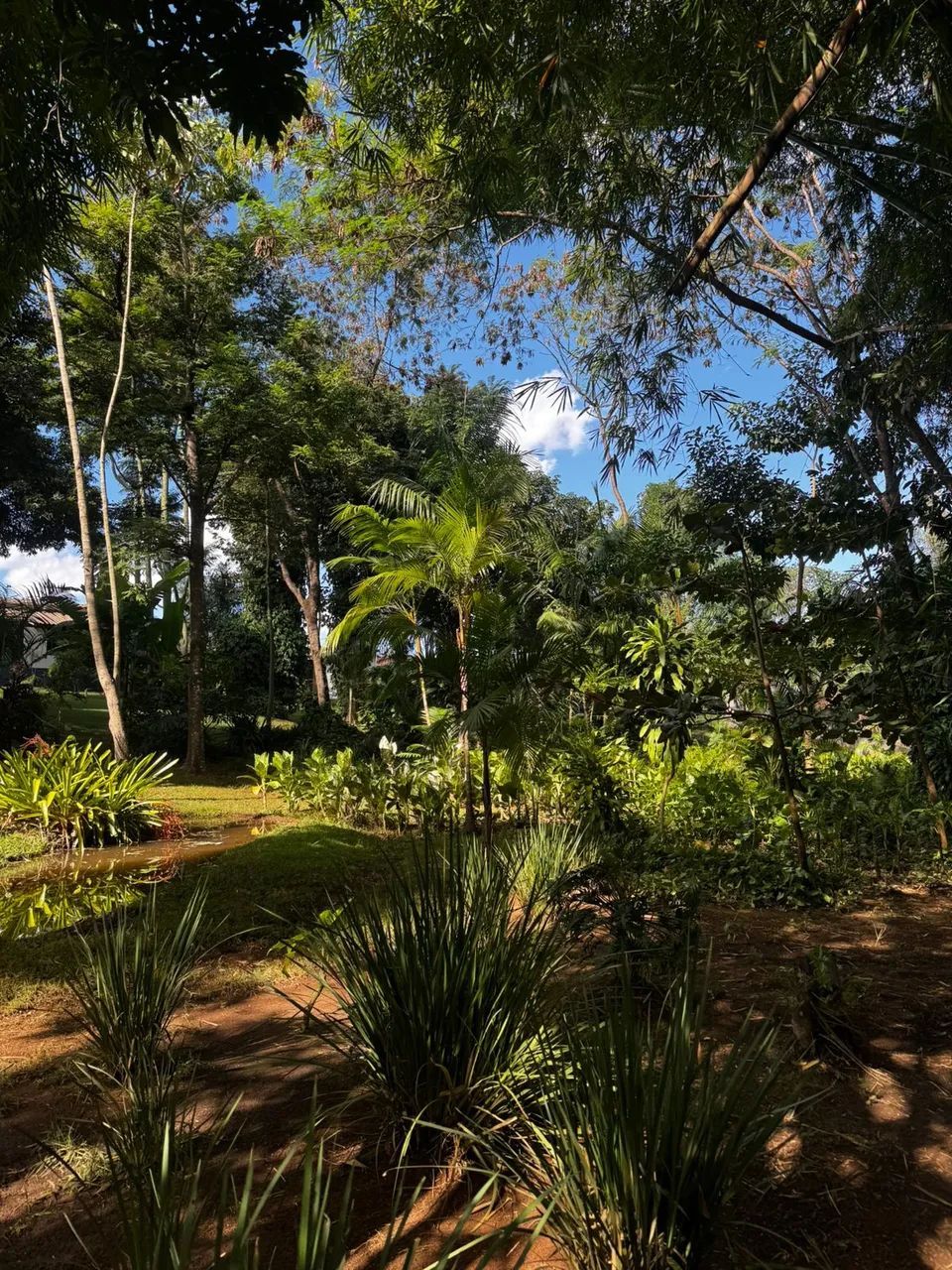 Chácara à venda - Vila Brasília - Foto 2