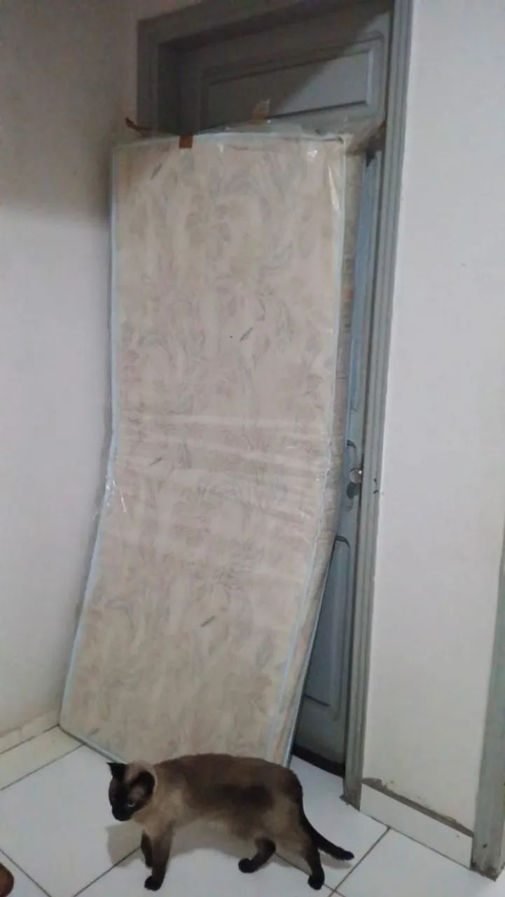Colchão é Novo de Solteiro Ortobom Bom Mesmo ! - Foto 2