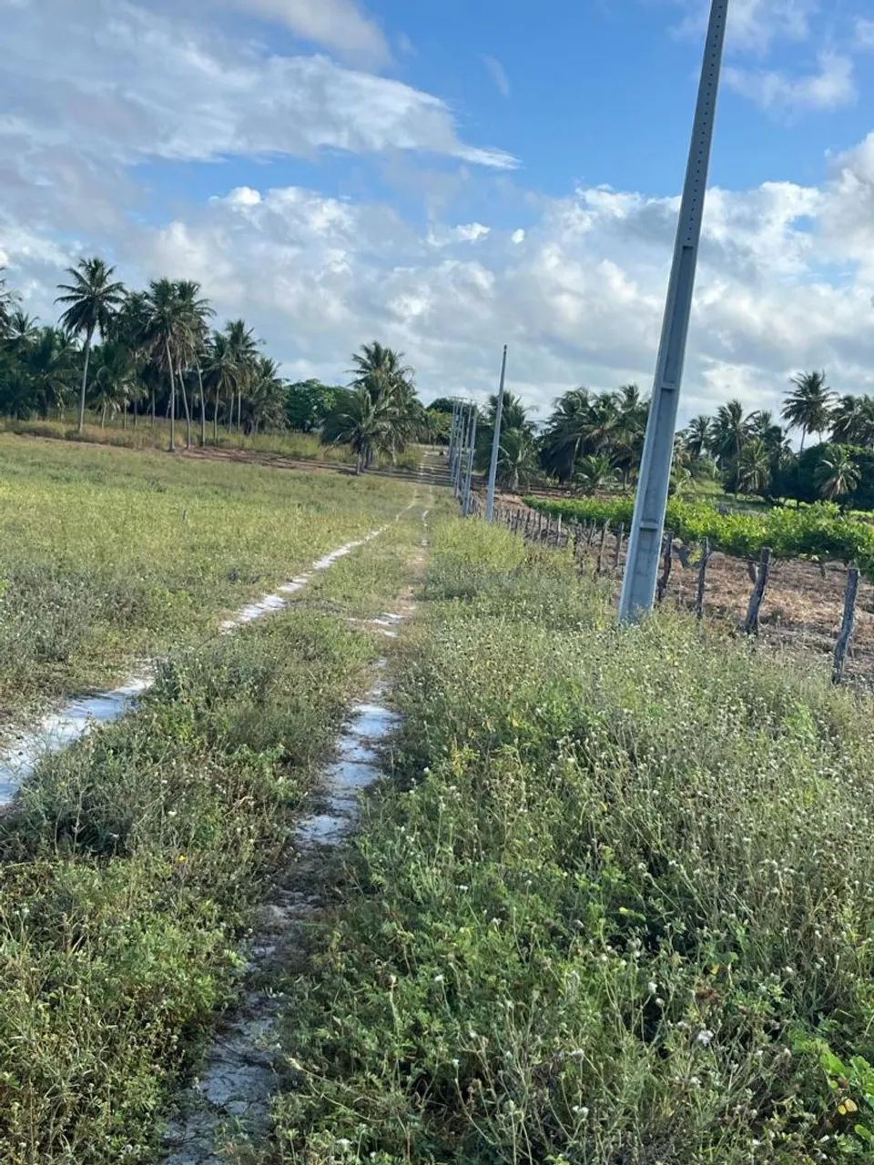 Terreno em Beberibe - Foto 3