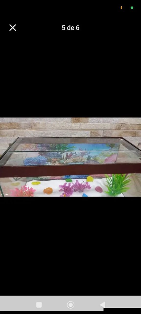 Aquário para peixes  - Foto 4
