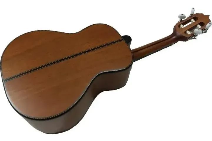 ARAUJO CAVACO LUTHIER MOGNO  - Foto 2