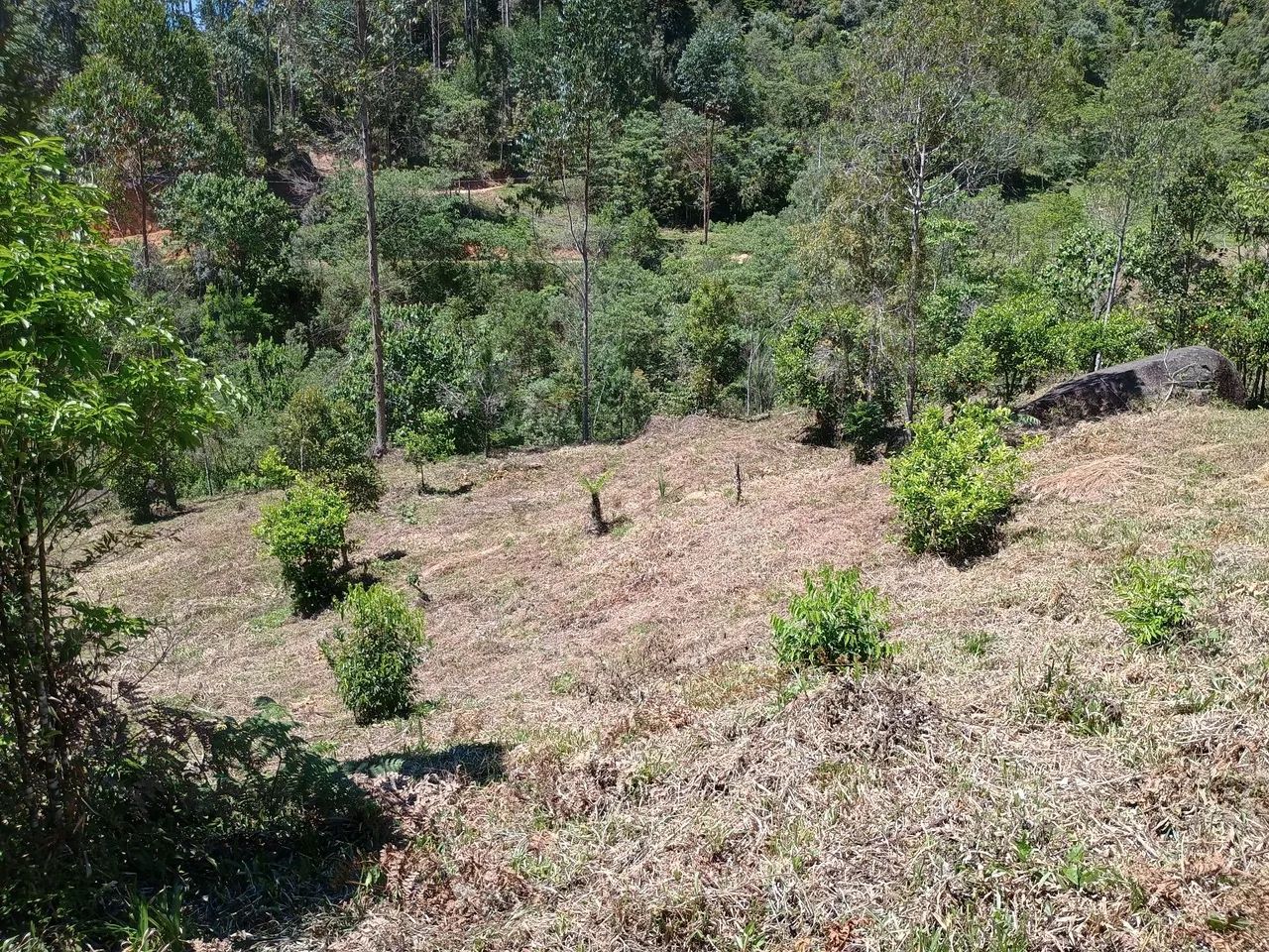 ANITÁPOLIS/SC - Lindo sítio pronto para morar 3hectares  - Foto 3