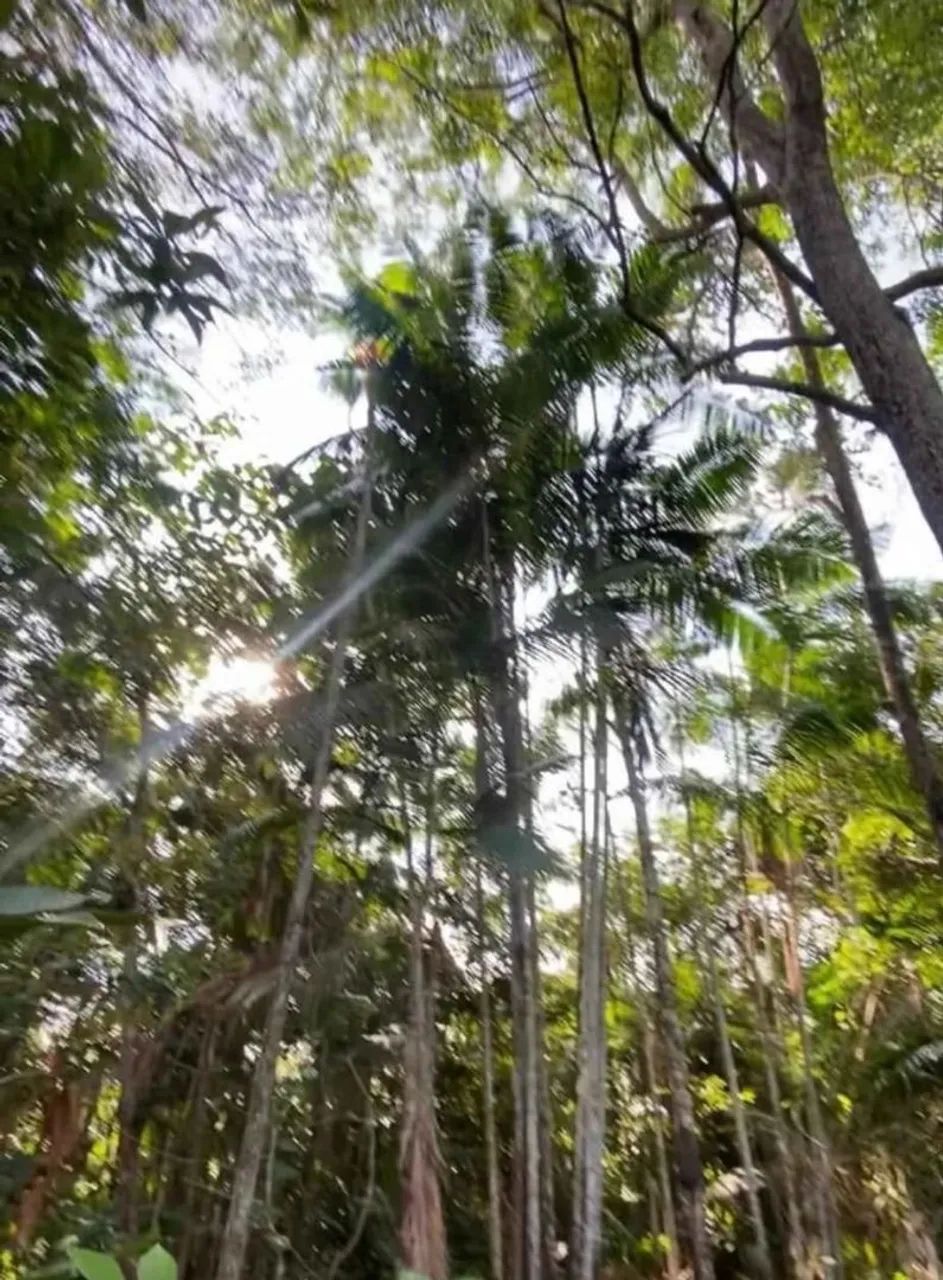 Vendo terreno com Igarapé água Gelada  - Foto 2
