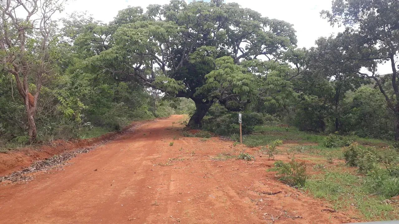 FAZENDINHAS perto do asfato em Paraopeba - Foto 2