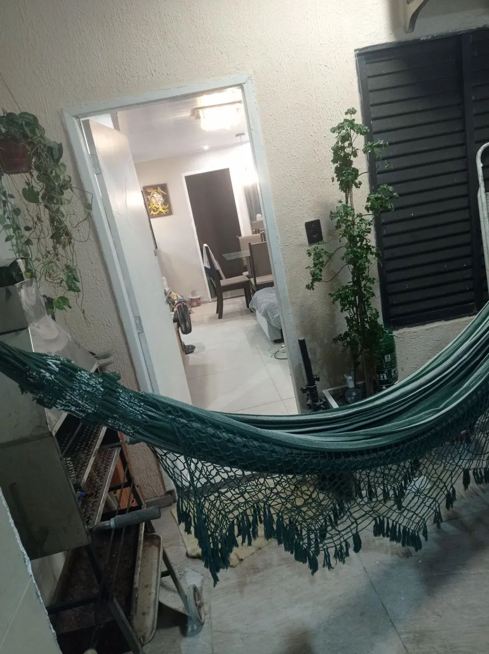 Árvore da felicidade  - Foto 3