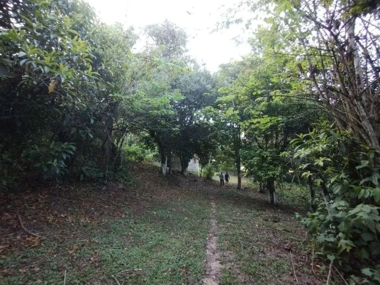 Terreno de 16.300m² à venda, localizado na BR 101, Cabo de Santo Agostinho - Pernambuco. - Foto 12